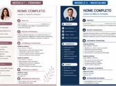 O Poder de um Currículo Profissional: Como um Bom CV Pode Transformar Sua Carreira currículo