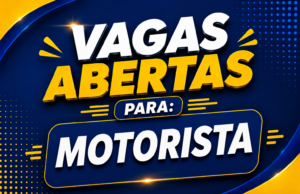 Motorista Entregador Categoria B