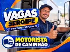 Motorista Categoria D – CERVEJARIA